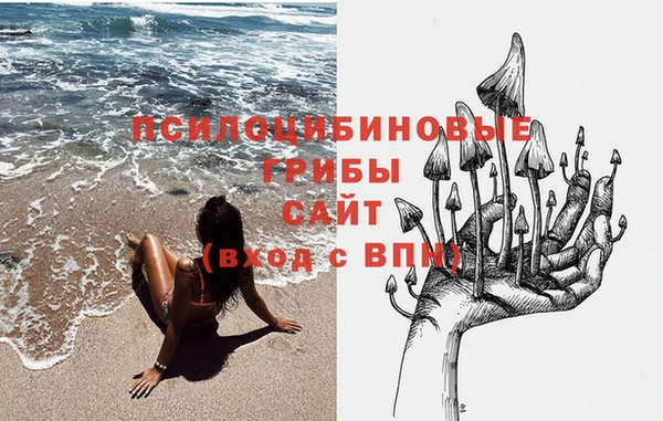прущие крисы Балахна