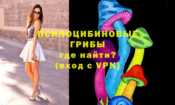 герыч Тавда