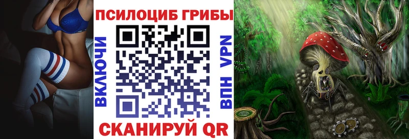 как найти наркотики  Чекалин  Псилоцибиновые грибы Cubensis 